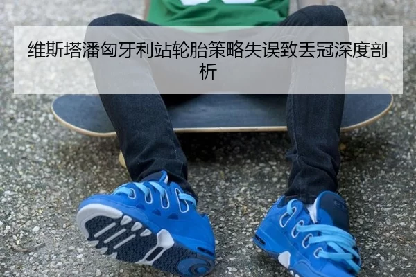 维斯塔潘匈牙利站轮胎策略失误致丢冠深度剖析