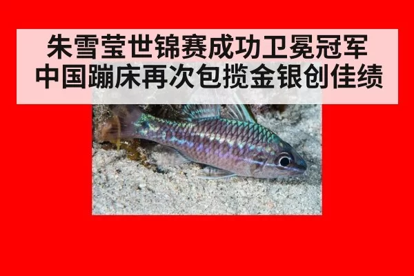 朱雪莹世锦赛成功卫冕冠军 中国蹦床再次包揽金银创佳绩